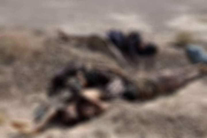 حدود 60 جنگجوی طالبان در ولایت‌های هلمند، ارزگان و پکتیا کشته شدند