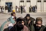 ۱۳ زندانی در زندان هرات به کرونا مبتلا شدند