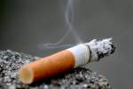 سیگار؛ قاتل 8 میلیون نفر در سال