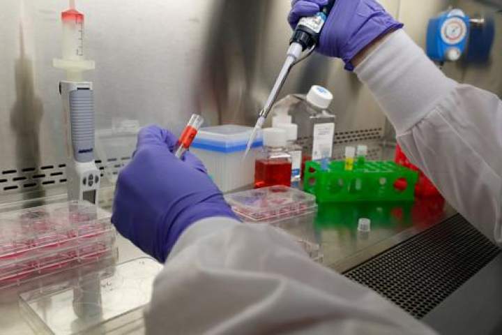50 مورد جدید ابتلا به ویروس کرونا در ننگرهار ثبت شد