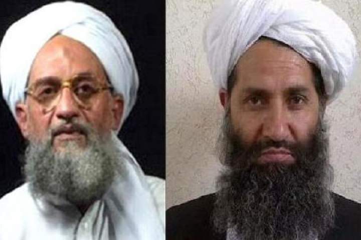 سازمان ملل: طالبان هنوز هم با القاعده ارتباط دارد