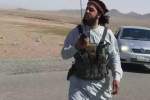 دو تروریست خطرناک و قاتل چند سرباز امنیتی در هرات، کشته شدند