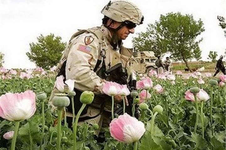 منافن: مطابق به گزارش سازمان ملل، طالبان با همکاری مافیا به کشورهای دیگر مواد مخدر قاچاق می‌کند