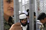 خبرگزاری فرانسه: طالبان رها شده در انتظار بازگشت به میدان جنگند!