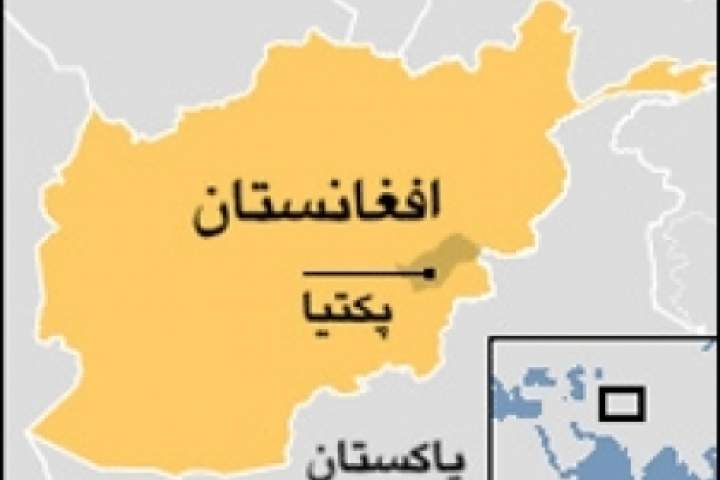 یک شهروند سیک در ولایت پکتیا ربوده شد