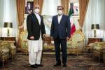 ‘Enemies’ Target Iran-Afghan Relations Says Iran’s Security Council Secretary
