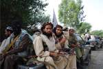 کارشناس نظامی: طالبان از موضع‌گیری صلح آمیز حکومت سوءاستفاده می کند