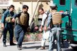 روزانه 24 نفر در حملات طالبان قربانی می‌شوند