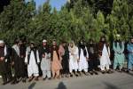 دوازده زندانی دیگر طالبان از هرات آزاد شدند