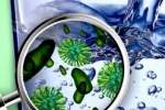 شناسایی باکتری‌های آب با کمک هوش مصنوعی