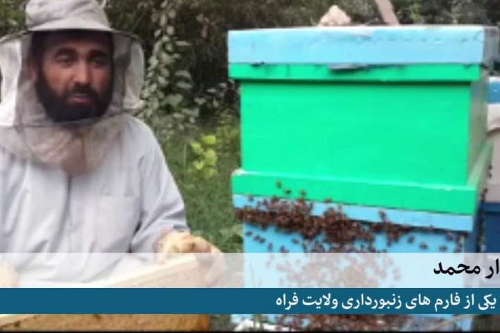 ریاست زراعت فراه: تولیدات عسل‌مان 40 درصد افزایش یافته است  