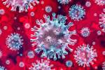 واکنش سلول‌های تی نسبت به کروناویروس هدف جدی محققان