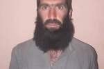 بریالی برادر جمیل ولسوال خود خوانده طالبان برای ولسوالی قره باغ کابل است