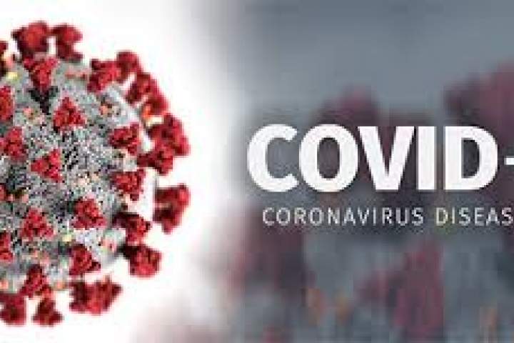 روشی جدید برای بررسی توانایی بدن در خنثی کردن کروناویروس
