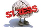استرس مغز را پیر می‌کند