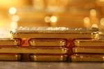Gold hits record high on haven demand as markets rally sputters