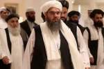 Taliban Ask Private Companies, Aid Agencies To Register With Them in Afghanistan