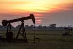 قیمت نفت برنت با افزایش یک دالری به 43.88 دالر رسید