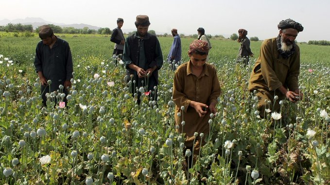 NATO’S appalling failure in Afghanistan has fuelled a drug explosion across Europe