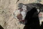 حمله طالبان بر روستای مسجدسبز سرپل؛ از آتش گرفتن چندین خرمن تا تلفات سنگین طالبان