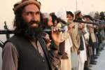 حمدالله محب: طالبان باید از زیر تیغ بیگانگان آزاد شوند