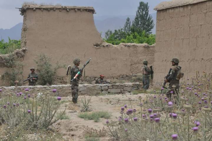 چهار جنگجوی طالبان در ولسوالی ده سبز کابل کشته شدند