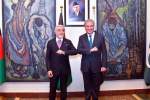 Afghanistan thanks Pakistan for facilitating Afghan peace process