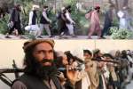 50 زندانی ارشد طالبان بعد از آزادی از زندان های حکومت، کشته شدند