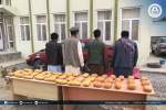 شش قاچاقبر با 51 کیلوگرام مواد مخدر در پروان و پنجشیر بازداشت شدند