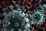 ویروس کرونا با ۱۰روش مختلف تغییر شکل می دهد