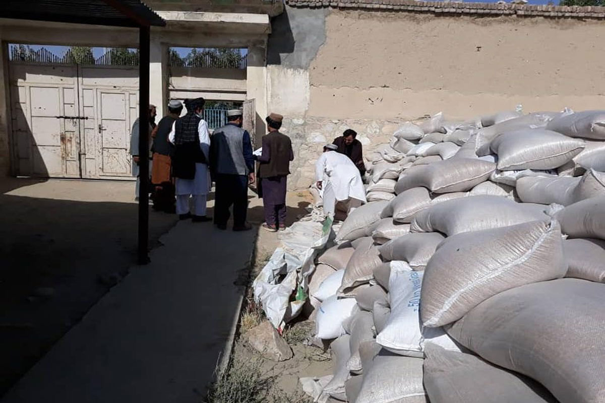افتادن 180 تن گندم سهمیه فقرای ولسوالی جاغوری به دست طالبان