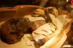 نمایش اجساد مومیایی کشف شده در حفاری‌های اخیر مصر