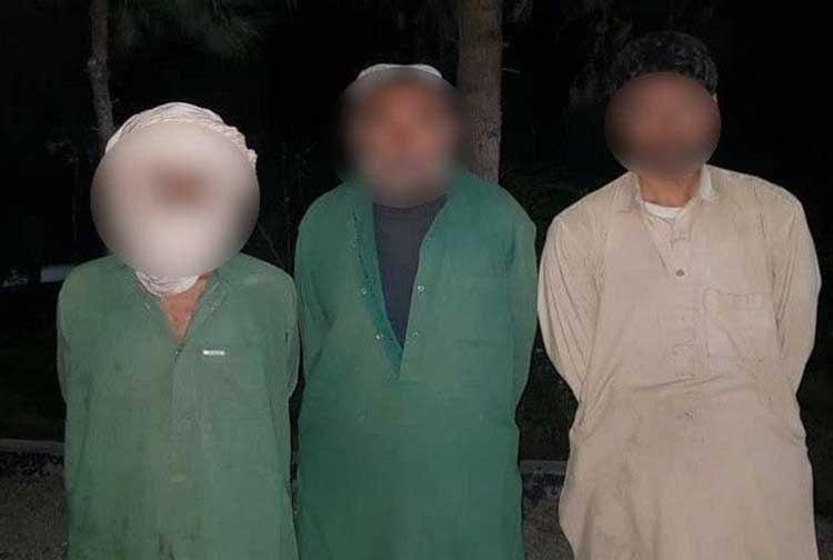 3 Arrested In Herat For Stealing 140 Sheep And Goats