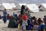 سازمان ملل متحد، افزایش آوارگان افغانستان به دلیل جنگ‌های اخیر در داخل کشور