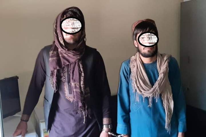 دو دانشجو در میدان وردک به اتهام دادن دوغ سمی به کارمندان ولسوالی سیدآباد بازداشت شدند