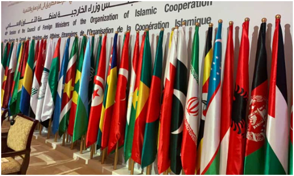 OIC calls on all parties to the conflict to call an immediate truce