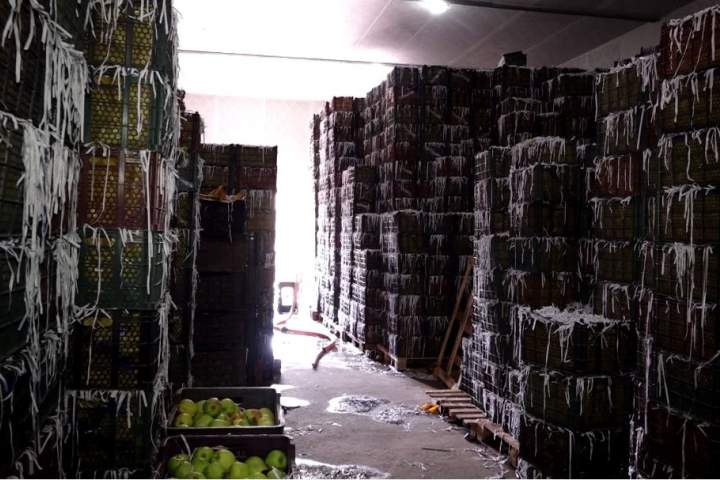 18 سردخانه با گنجایش 540 متریک تن میوه در بلخ ساخته می‌شود