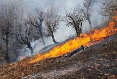 جنگل های نورستان همچنان در حال سوختن است