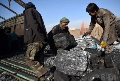 در افغانستان ۳ میلیاد متر مکعب زغال سنگ وجود دارد