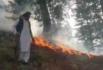 آتش‌سوزی در جنگل‌های نورستان و کنر مهار شده است