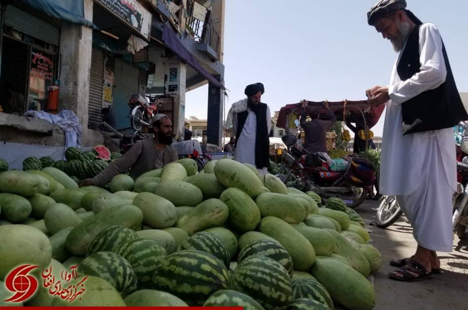ایجاد کمیته ویژه برای حل مشکل صادرات میوه تازه در قندهار