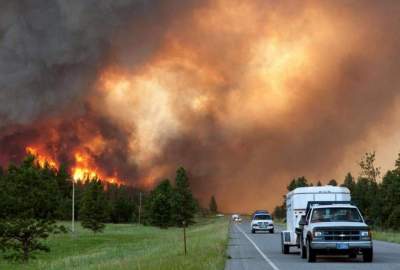 گرما در امریکا/ هزاران هکتار از جنگل‌های آریزونا در آتش سوخت
