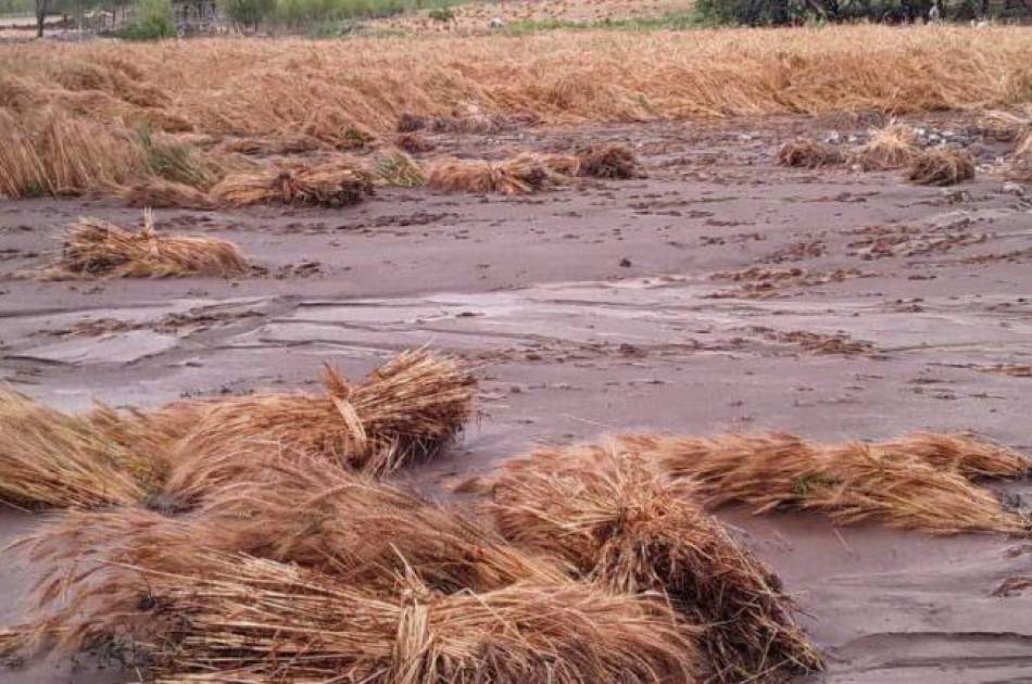 سیل در بدخشان ده‌ها جریب زمین زراعتی را نابود کرد