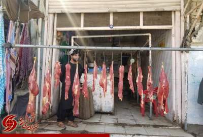 قاچاق حیوانات به پاکستان سبب افزایش قیمت گوشت در قندهار شده‌است