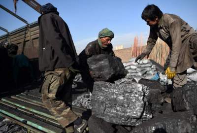 روزانه ۳ هزار تن زغال سنگ از افغانستان به پاکستان صادر می‌شود