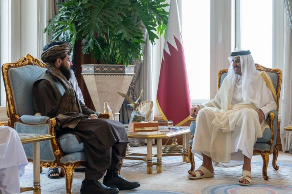 دیدار سرپرست وزارت دفاع با امیر قطر در دوحه