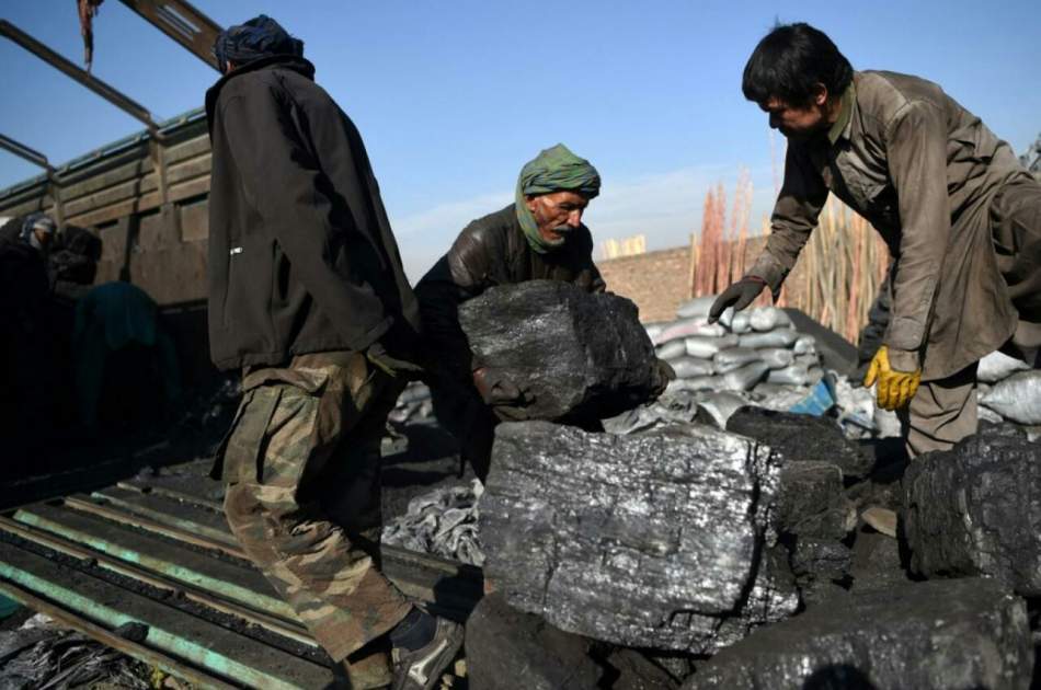 Afghan coal will be sold at the world price