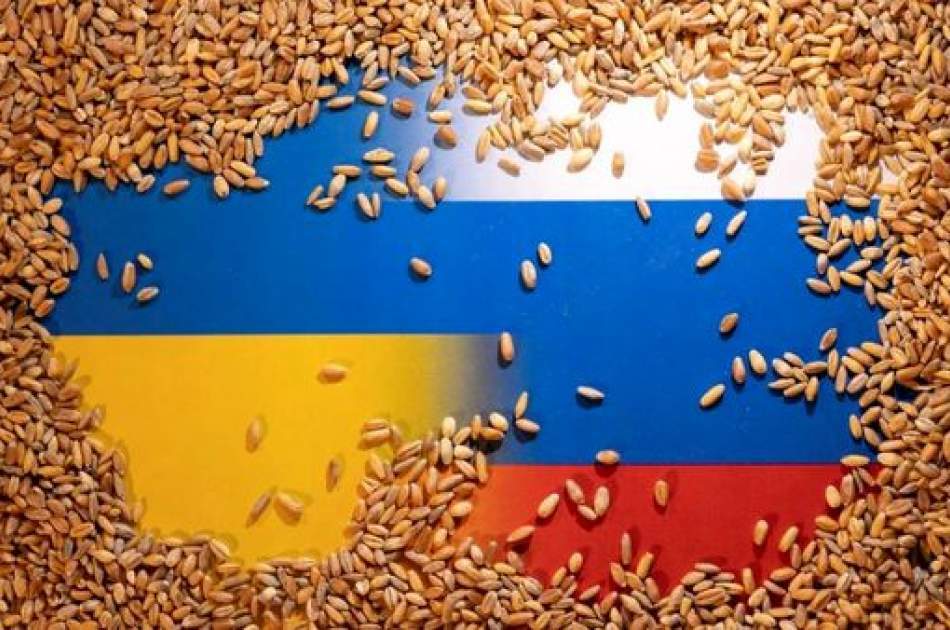 The progress of negotiations between Russia and Ukraine in the field of grain export