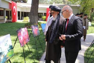 Afghanistan stands by Turkey: Stanikzai