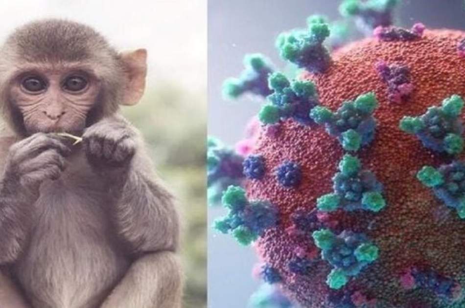 America declared a state of emergency due to the outbreak of "monkey pox"